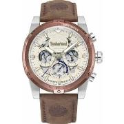 Montre Timberland Montre Homme TDWGF0009403