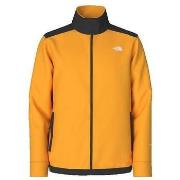 Veste The North Face Alpine Polartec 200 Fz