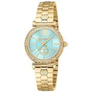 Montre Roberto Cavalli Montre Femme VARENNA 2023-24 COLLECTION (Ø 30 m...