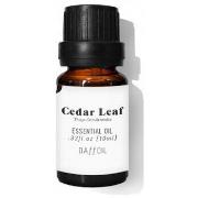 Soins cheveux Daffoil CEDAR LEAF essential oil 10 ml