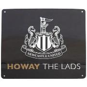 Tableaux, toiles Newcastle United Fc TA12995