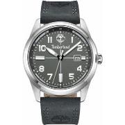 Montre Timberland Montre Homme TDWGB2230704 Noir Gris