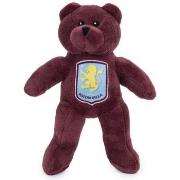 Accessoire sport Aston Villa Fc TA13037