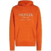 Polaire Tommy Hilfiger Big Hilfiger Hoody