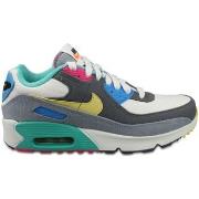 Baskets Nike Air Max 90 'air Sprung - Iron Grey' Dn4415-001