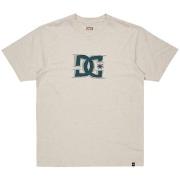 T-shirt DC Shoes Big Deal Star