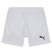 Short enfant Puma TEAMRISE SHORT