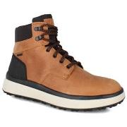 Boots Geox u granito