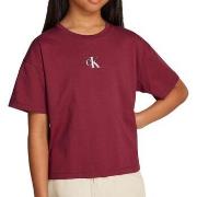 T-shirt enfant Calvin Klein Jeans IG0IG02136