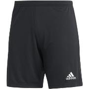 Short adidas Ent22 sho