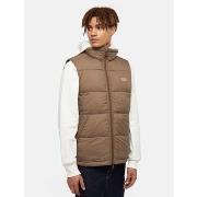 Veste Dickies WALDENBURG VEST - DK0A4Y2K-MR1 MUSHROOM