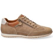 Chaussures Mephisto LEON