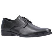 Derbies Hush puppies Oscar