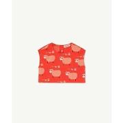 T-shirt enfant The Animals Observatory S23043_251_AO