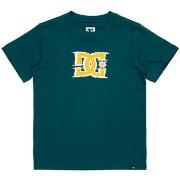 T-shirt DC Shoes Big Deal Star