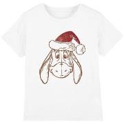 T-shirt enfant Dessins Animés TV3690