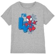 T-shirt enfant Marvel Cute Spidey