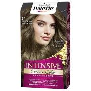 Colorations Palette Intensive Teinture 6.1-blond Cendré Foncé