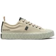 Baskets Palladium PALLA ACE LO SUPPLY