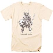 T-shirt Dungeons &amp; Dragons Evil Ready