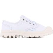 Baskets basses Palladium PAMPA OXFORD