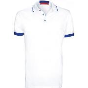 Polo Andrew Mc Allister polo mode marconetti blanc