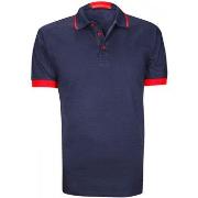 Polo Andrew Mc Allister polo mode marcone bleu