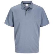 Polo Premium By Jack &amp; Jones 176919VTPE25