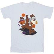 T-shirt Scooby Doo BI52953