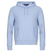 Sweat-shirt Polo Ralph Lauren SWEATSHIRT CAPUCHE EN MOLLETON TERRY