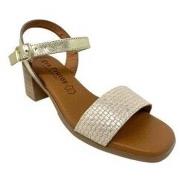 Chaussures Eva Frutos Sandalia señora 3490 oro