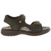 Sandales enfant Panama Jack NILO BASICS B8