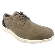 Chaussures Xti Chaussure homme 143647 taupe