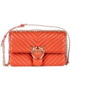 Sac Bandouliere Pinko 100941A0GK