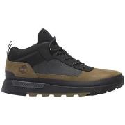 Baskets Timberland FIELD TREKKER LOW LACE UP SNEAKER