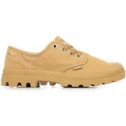 Baskets Palladium Pampa Oxford