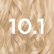 Garnier Nutrisse Permanent Hair Dye (Verschillende tinten) - 10.1 Ice ...