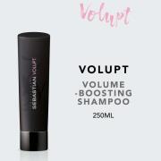 Sebastian Professional Volupt Shampoo 250 ml