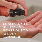 Aveda Nutriplenish Multifunctionele Haarolie 30 ml