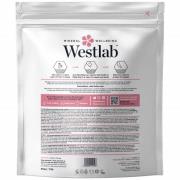 Sel de l'Himalaya Westlab 5 kg