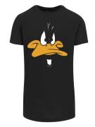 Shirt 'Looney Tunes Daffy Duck Big Face'