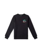 Sweatshirt 'Circle Surfer Crew'