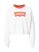 Sweatshirt 'Vintage Raglan Crewneck Sweatshirt'