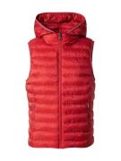 Bodywarmer