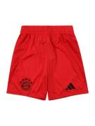 Sportbroek 'FC Bayern 24/25'