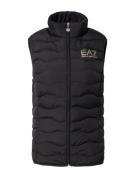 Bodywarmer