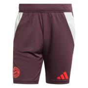 Sportbroek 'FC Bayern Tiro 24'