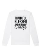 Sweatshirt 'Thankful blessed and kind of a mess'