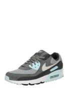 Sneakers laag 'AIR MAX 90'