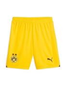Pantalon de sport 'Borussia Dortmund'